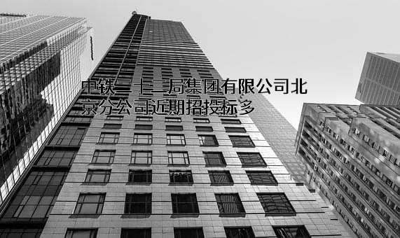 中铁二十二局集团有限公司北京分公司