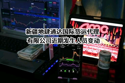 新疆地肆通达国际货运代理有限公司