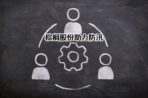 棕榈生态城镇发展股份有限公司