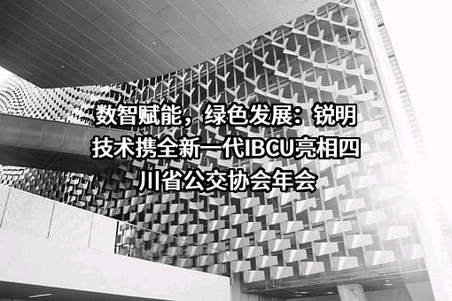 深圳市锐明技术股份有限公司