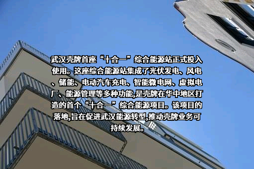 壳牌（中国）有限公司