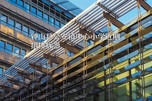 钟山县公安镇中心小学近期招投标项目多