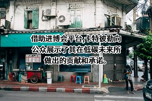 卡特彼勒（中国）投资有限公司