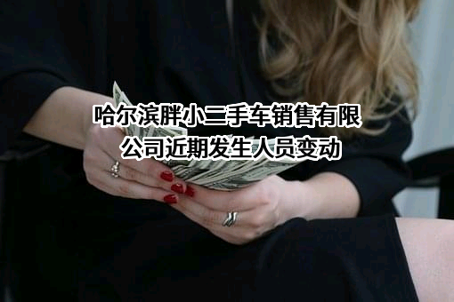 哈尔滨胖小二手车销售有限公司