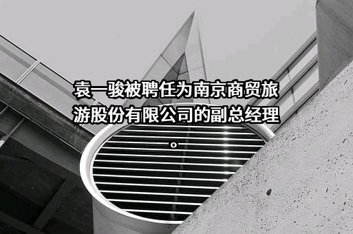 南京商贸旅游股份有限公司