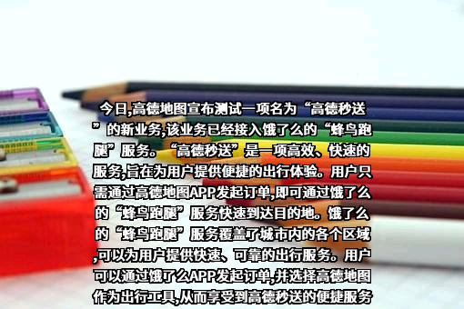 深圳市顺丰同城物流有限公司