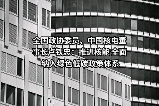 中国核能电力股份有限公司