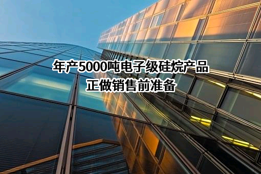 湖北和远气体股份有限公司