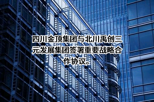 北川禹创三元发展集团有限公司