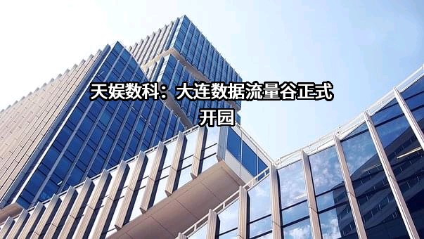 天娱数字科技（大连）集团股份有限公司