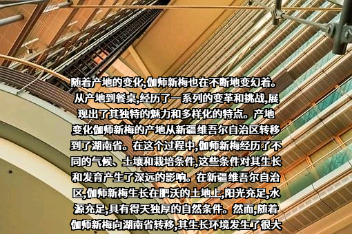 新疆众力农产品有限责任公司