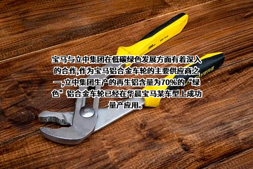 立中四通轻合金集团股份有限公司
