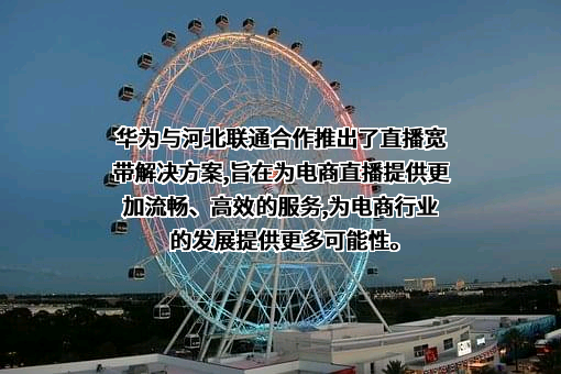 华为技术有限公司