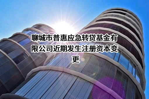 聊城市普惠应急转贷基金有限公司