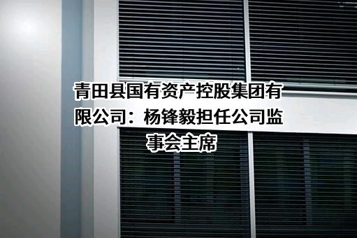 青田县国有资产控股集团有限公司：杨锋毅担任公司监事会主席