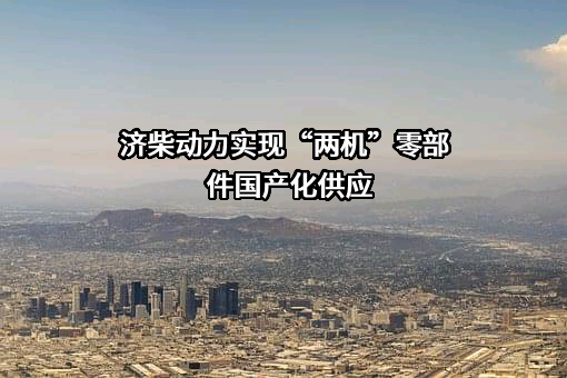 中国石油集团济柴动力有限公司