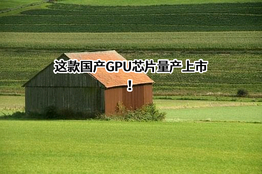 武汉凌久微电子有限公司