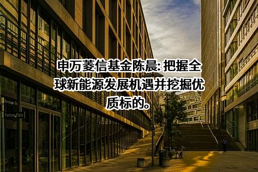 申万菱信基金管理有限公司