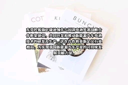 因湃电池科技有限公司
