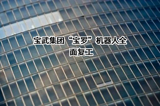 宝武集团环境资源科技有限公司