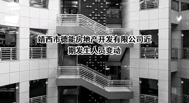 靖西市德能房地产开发有限公司