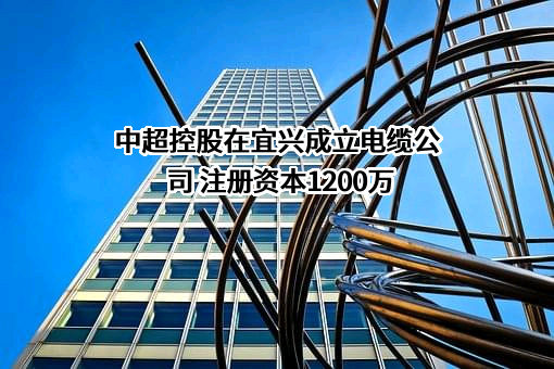江苏中超控股股份有限公司