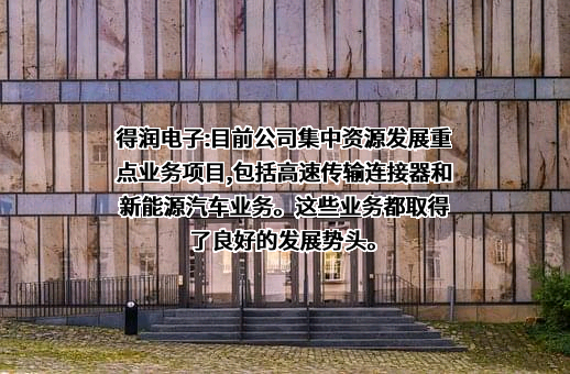 深圳市得润电子股份有限公司