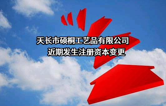 天长市硕桐工艺品有限公司