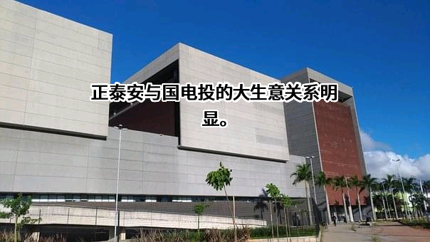 正泰安能数字能源（浙江）股份有限公司
