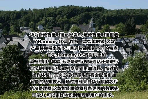 华为技术有限公司