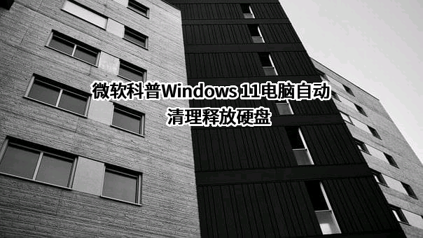 微软（中国）有限公司