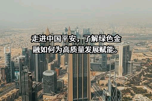中国平安保险（集团）股份有限公司