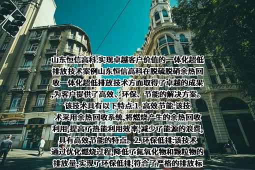 山东恒信高科能源有限公司