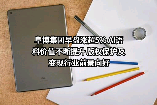 阜博集团有限公司