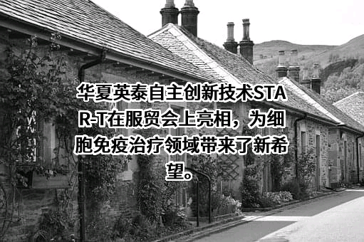 华夏英泰（北京）医药科技有限公司