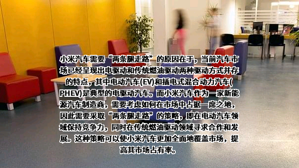 小米汽车有限公司