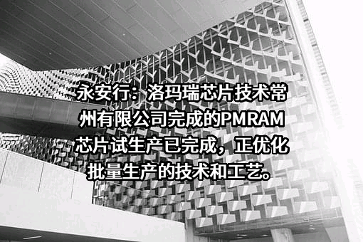 洛玛瑞芯片技术常州有限公司