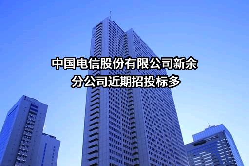 中国电信股份有限公司新余分公司