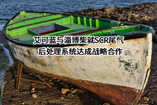安徽艾可蓝环保股份有限公司