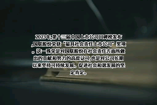 北京国联视讯信息技术股份有限公司