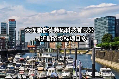 大连鹏信德数码科技有限公司近期招投标项目多