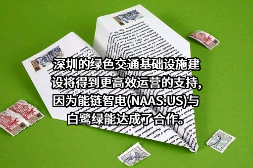 深圳白鹭绿能服务投资有限公司