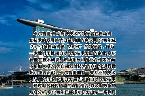 大卓智能科技有限公司