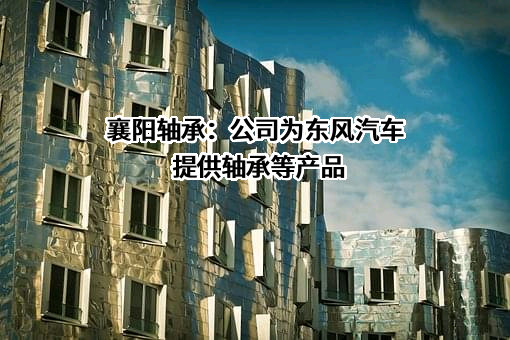 襄阳汽车轴承股份有限公司