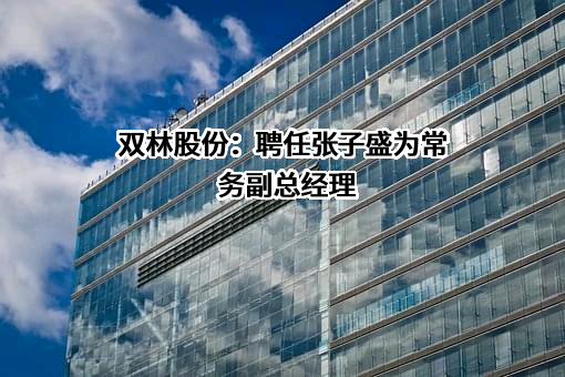 双林股份：聘任张子盛为常务副总经理