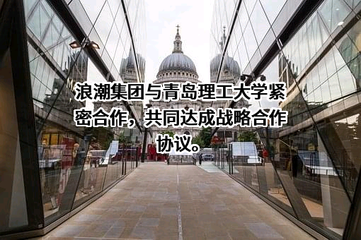 浪潮集团有限公司