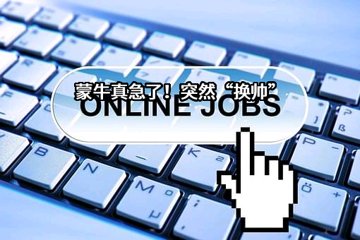 内蒙古蒙牛乳业（集团）股份有限公司