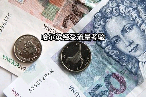 哈尔滨马迭尔集团股份有限公司