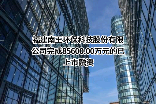 福建南王环保科技股份有限公司