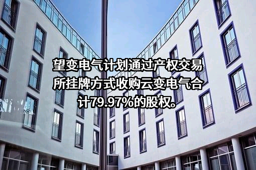 重庆望变电气（集团）股份有限公司